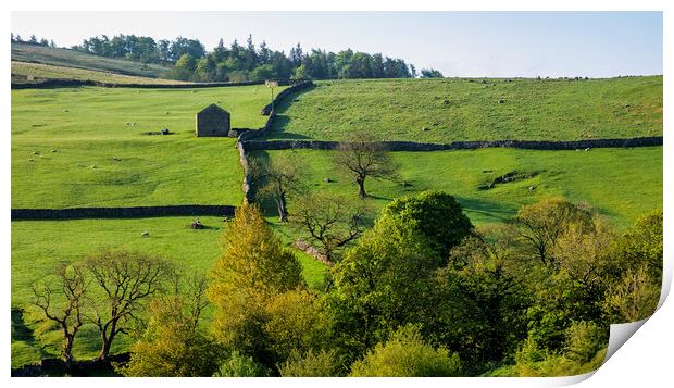Yorkshire Dales Landscape: Malham Print by Tim Hill