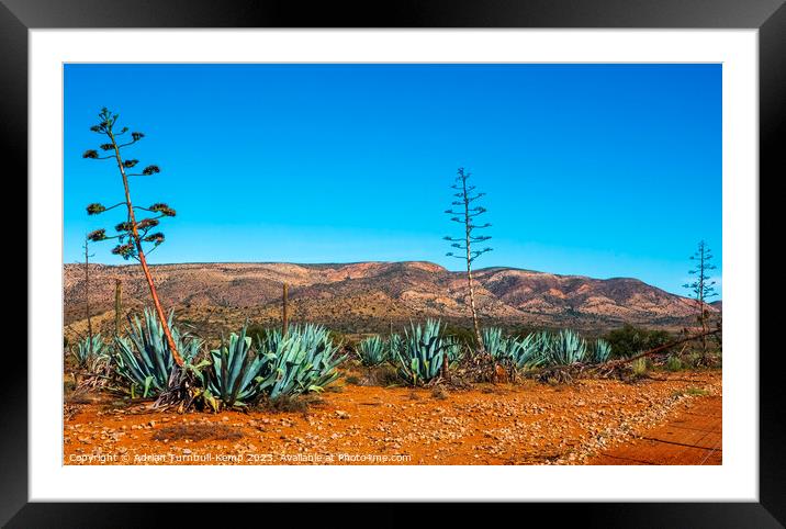 The Baviaans mountains Framed Mounted Print by Adrian Turnbull-Kemp