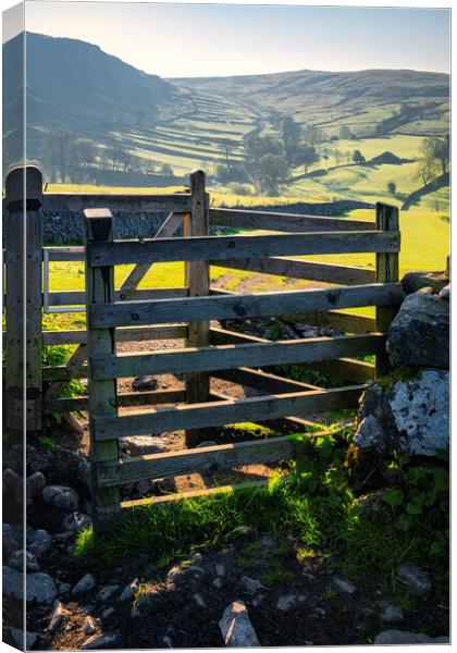 Dry Stone Wall Terraced Hill: Malham Canvas Print by Tim Hill