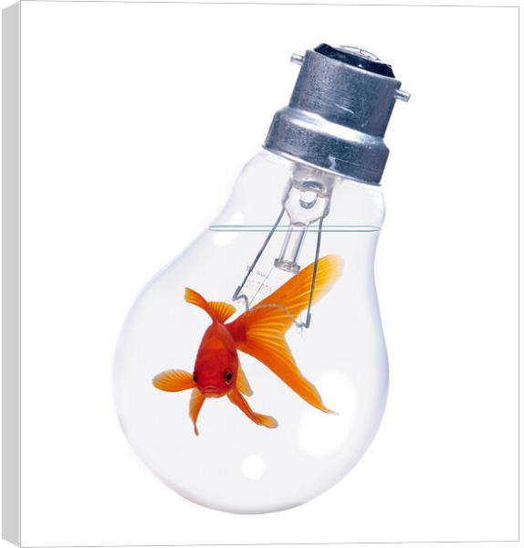 Goldfish In Lightbulb Canvas Print by Robert Deering