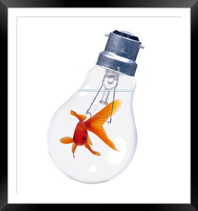 Goldfish In Lightbulb Framed Mounted Print by Robert Deering