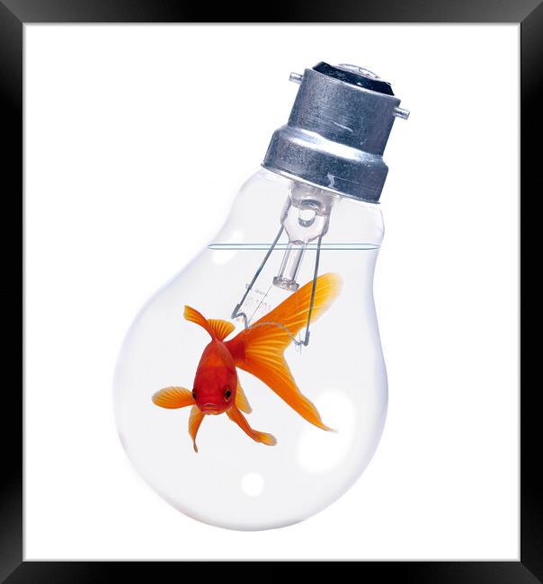 Goldfish In Lightbulb Framed Print by Robert Deering