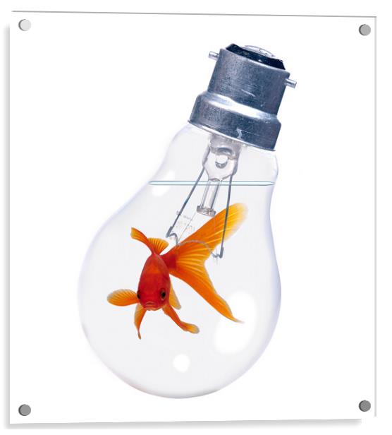 Goldfish In Lightbulb Acrylic by Robert Deering