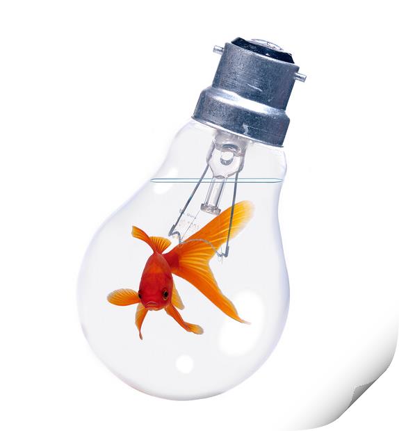 Goldfish In Lightbulb Print by Robert Deering