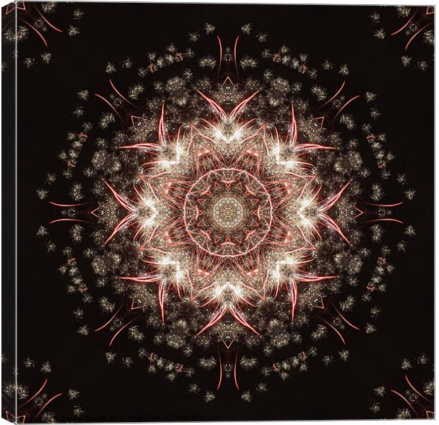 Firework Kaleidoscope Canvas Print by Donna Collett