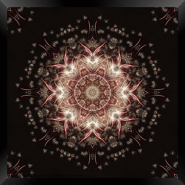 Firework Kaleidoscope Framed Print by Donna Collett