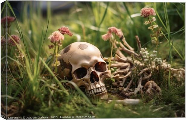 Among the grass of an abandoned orchard, a human skull terrifies Canvas Print by Joaquin Corbalan