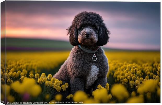 purebred poodle canine patiently awaits its next a Canvas Print by Joaquin Corbalan