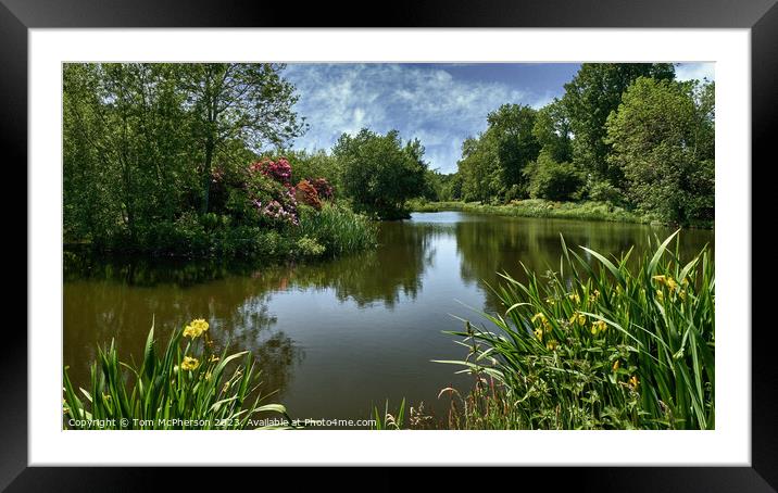 Tranquil Haven Reflecting Nature's Beauty Framed Mounted Print by Tom McPherson