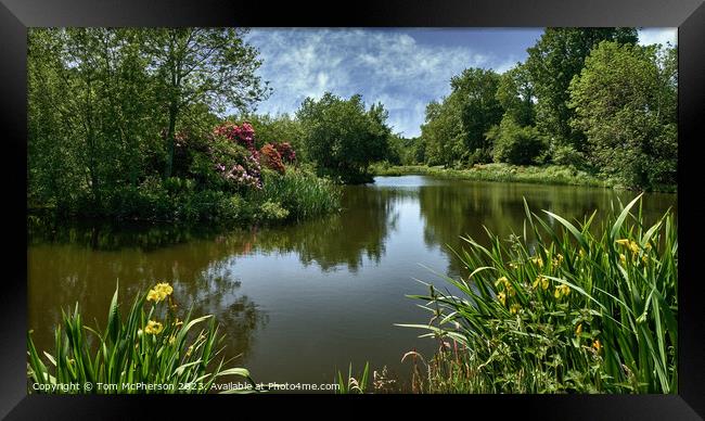 Tranquil Haven Reflecting Nature's Beauty Framed Print by Tom McPherson