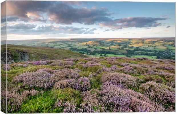 heather on the north york moors looking over Rosedale Abbey Canvas Print by Martin Williams