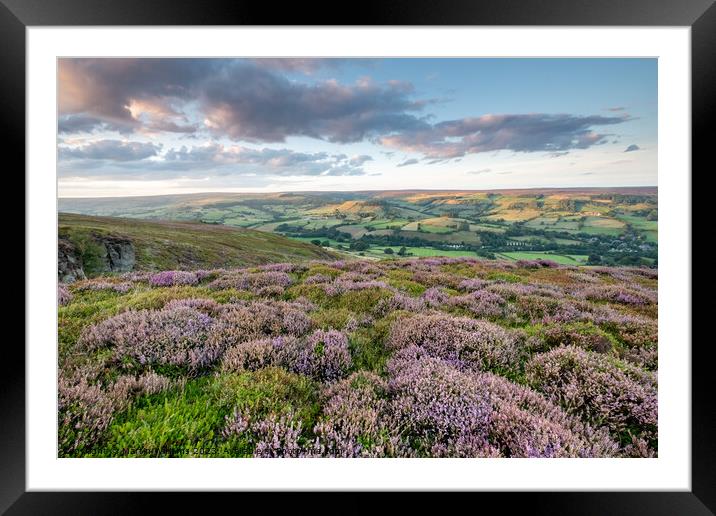 heather on the north york moors looking over Rosedale Abbey Framed Mounted Print by Martin Williams