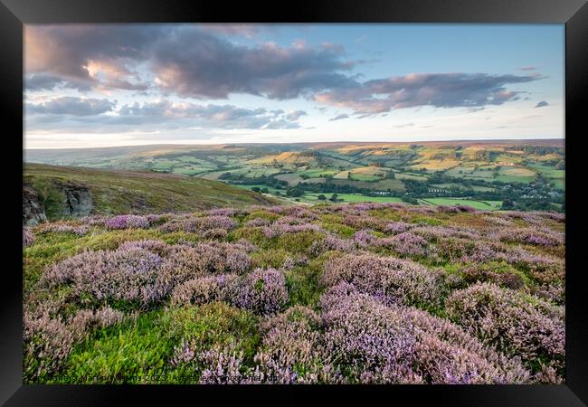 heather on the north york moors looking over Rosedale Abbey Framed Print by Martin Williams