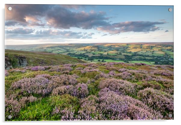 heather on the north york moors looking over Rosedale Abbey Acrylic by Martin Williams