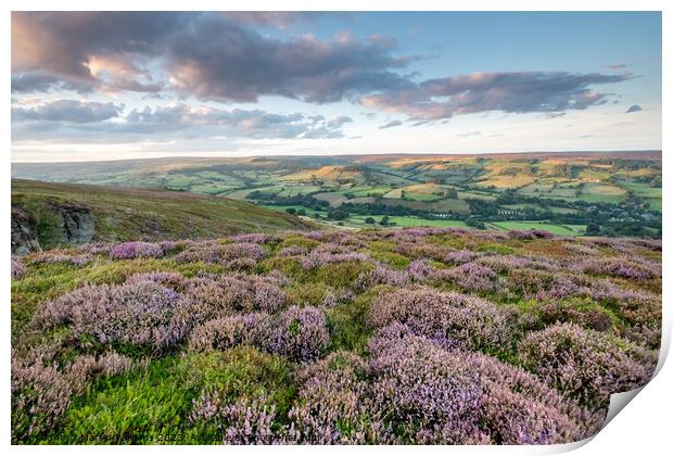 heather on the north york moors looking over Rosedale Abbey Print by Martin Williams