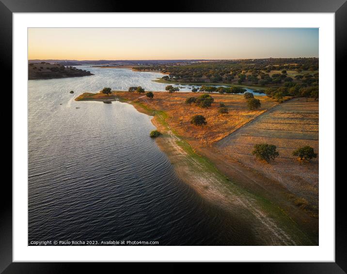 Cork oak forest by the lake at sunset - Alentejo, Portugal Framed Mounted Print by Paulo Rocha