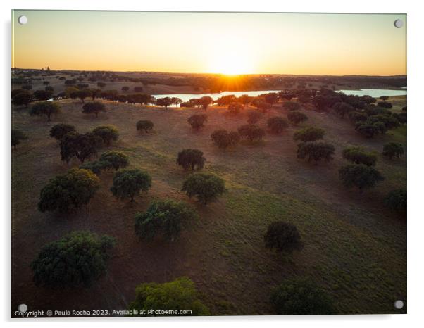 Cork oak forest by the lake at sunset - Alentejo, Portugal Acrylic by Paulo Rocha