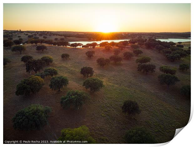 Cork oak forest by the lake at sunset - Alentejo, Portugal Print by Paulo Rocha