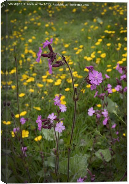 Red Campion Woodland flower Canvas Print by Kevin White