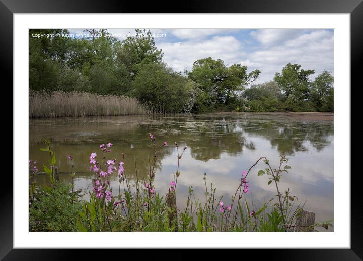 Red Campion growing wild on the side of a lake Framed Mounted Print by Kevin White