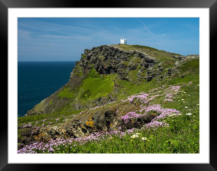 Majestic Cornish Sea Pinks Framed Mounted Print by Tony Twyman