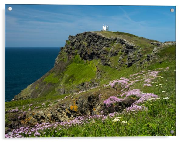 Majestic Cornish Sea Pinks Acrylic by Tony Twyman