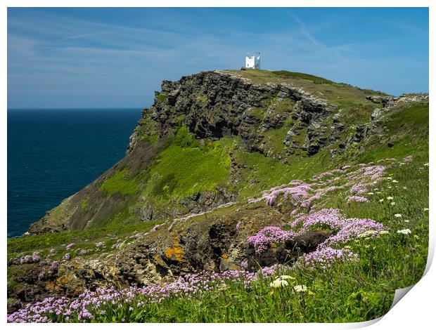Majestic Cornish Sea Pinks Print by Tony Twyman