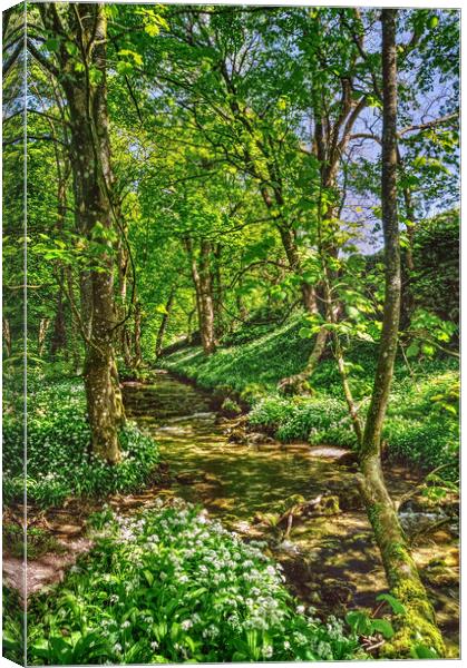 Gordale Beck, Yorkshire Dales Canvas Print by Darren Galpin