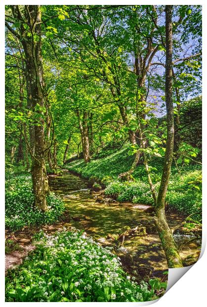 Gordale Beck, Yorkshire Dales Print by Darren Galpin