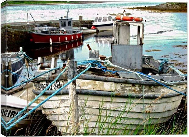 Abandoned boats  Canvas Print by Stephanie Moore
