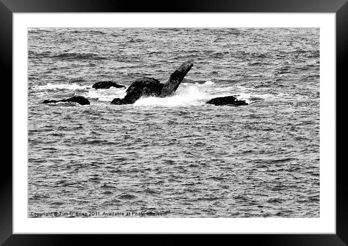 Sea Monster Sculpted from Rocks Framed Mounted Print by Tim O'Brien