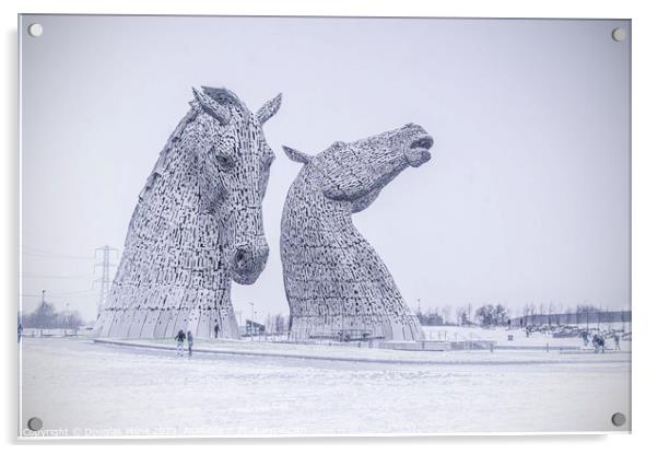 Kelpies in the Snow Acrylic by Douglas Milne