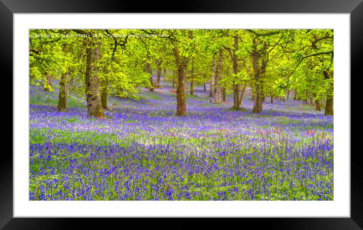 Bluebell Woods, Perthshire Framed Mounted Print by Navin Mistry
