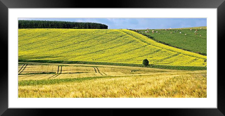 Premnay View Framed Mounted Print by Matt Youngs