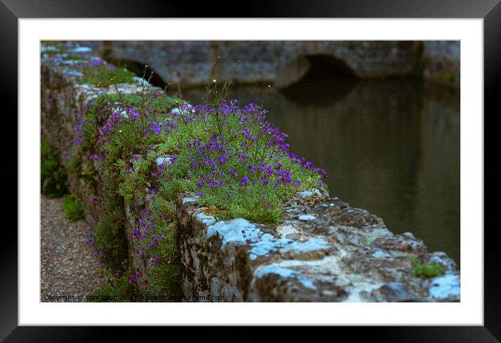 Moat Wall Framed Mounted Print by Tom Lloyd