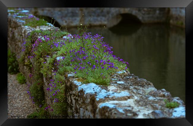 Moat Wall Framed Print by Tom Lloyd