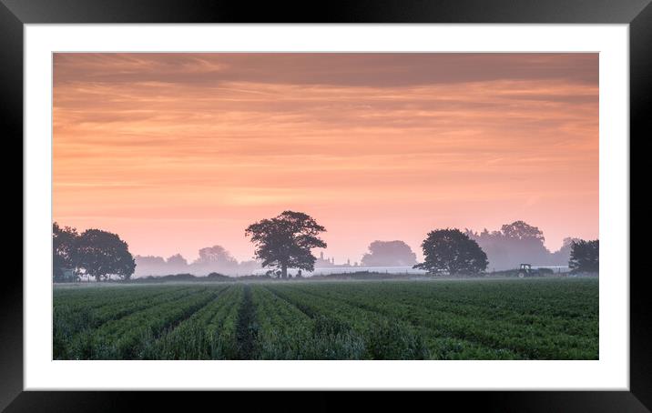 Misty Suffolk Sunrise. Framed Mounted Print by Bill Allsopp
