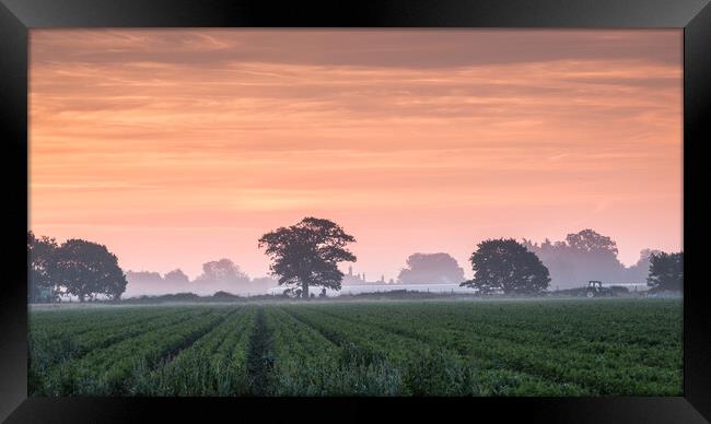 Misty Suffolk Sunrise. Framed Print by Bill Allsopp