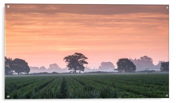 Misty Suffolk Sunrise. Acrylic by Bill Allsopp