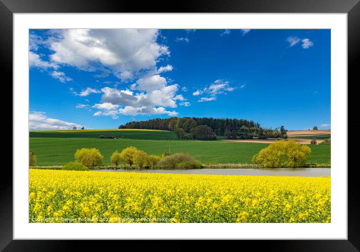 Rural area with rapeseed fields and forests under the blue sky. Framed Mounted Print by Sergey Fedoskin