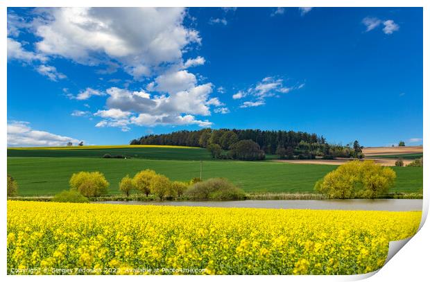 Rural area with rapeseed fields and forests under the blue sky. Print by Sergey Fedoskin