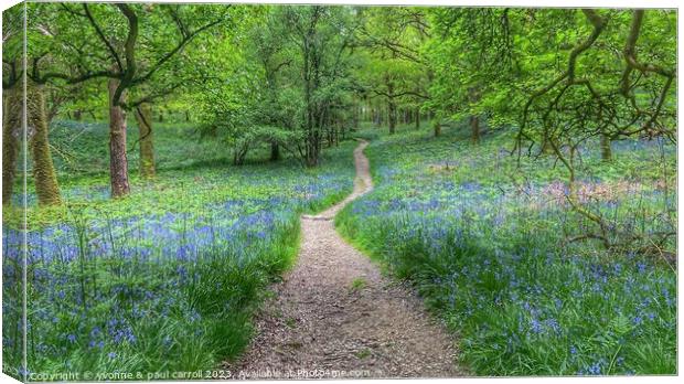 Bluebells on Inchcailloch Canvas Print by yvonne & paul carroll