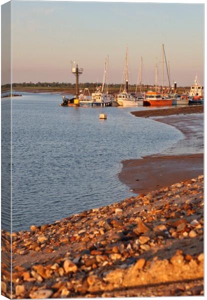 Evening sunlight over the Brightlingsea moorings  Canvas Print by Tony lopez