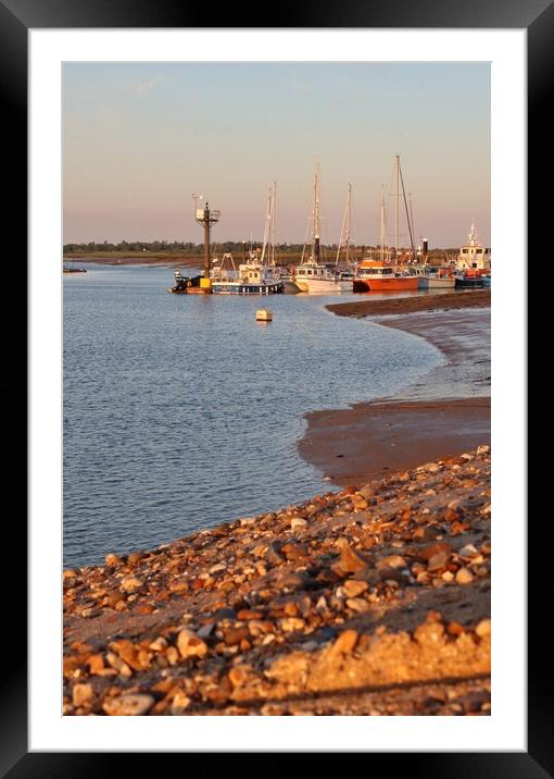 Evening sunlight over the Brightlingsea moorings  Framed Mounted Print by Tony lopez