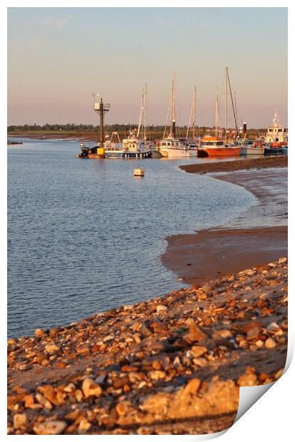 Evening sunlight over the Brightlingsea moorings  Print by Tony lopez