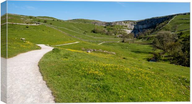 Iconic Malham Cove: Yorkshire Dales Canvas Print by Tim Hill