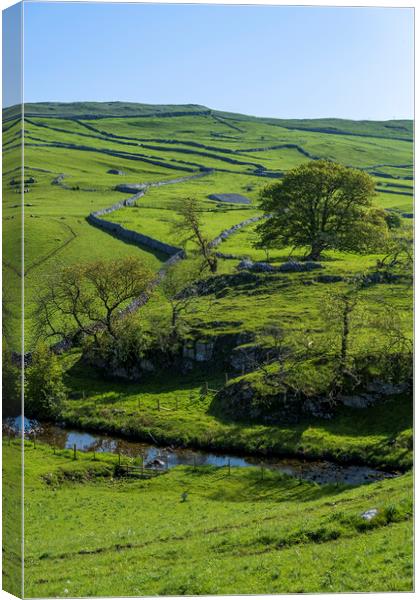 Malham Beck: Rolling Yorkshire Dales Hills Canvas Print by Tim Hill