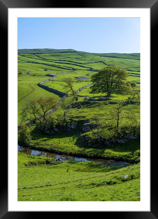 Malham Beck: Rolling Yorkshire Dales Hills Framed Mounted Print by Tim Hill