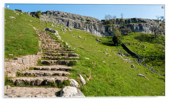 Malham Cove Steps: Yorkshire Dales Beauty Acrylic by Tim Hill