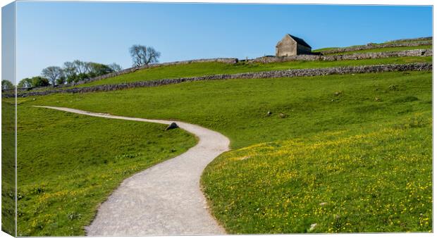 Yorkshire Dales Meadow: Malham Canvas Print by Tim Hill